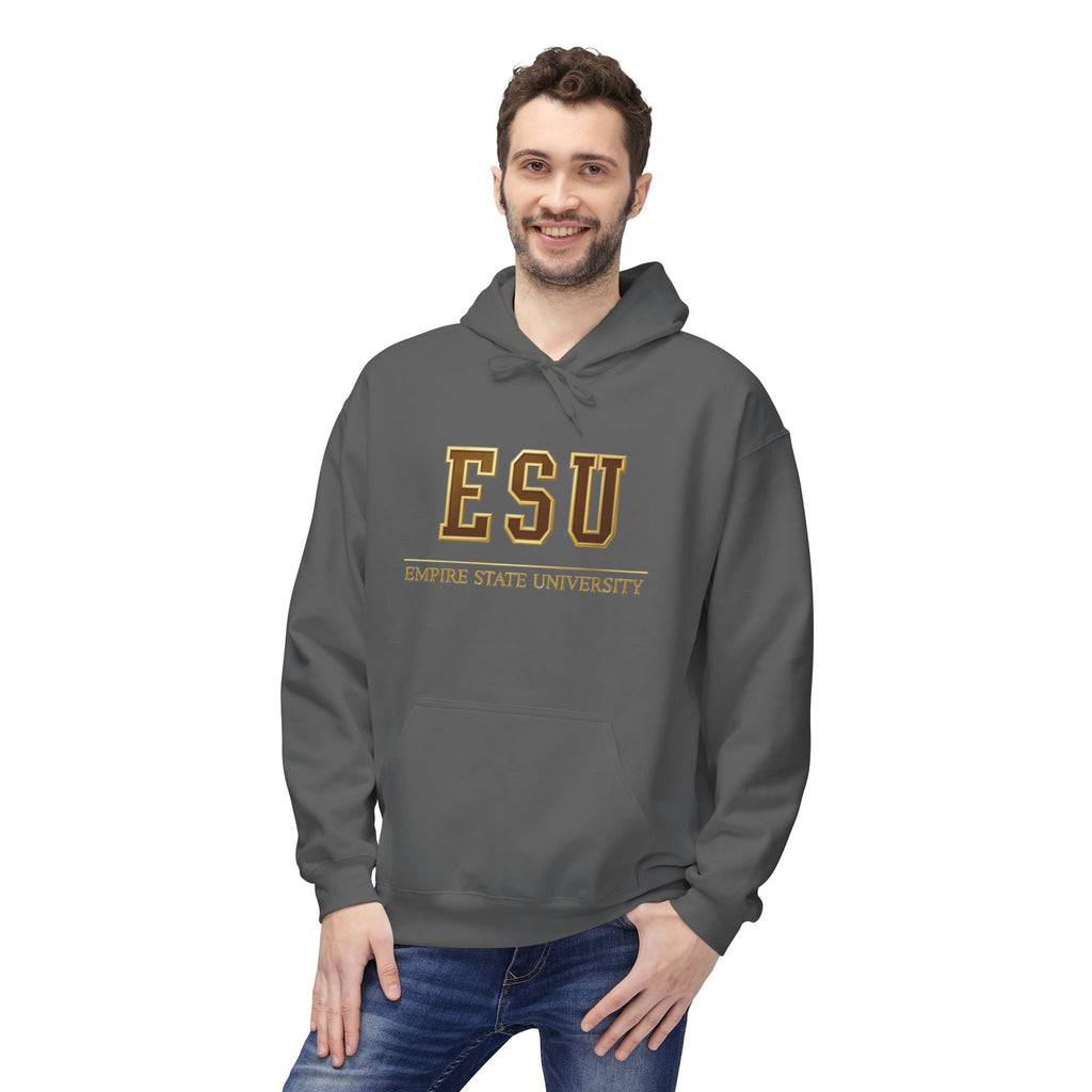 ESU Empire State University Hoodie — Collegiate Brown Pullover with Crest & Element Icons