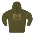 Three-Panel Fleece Hoodie