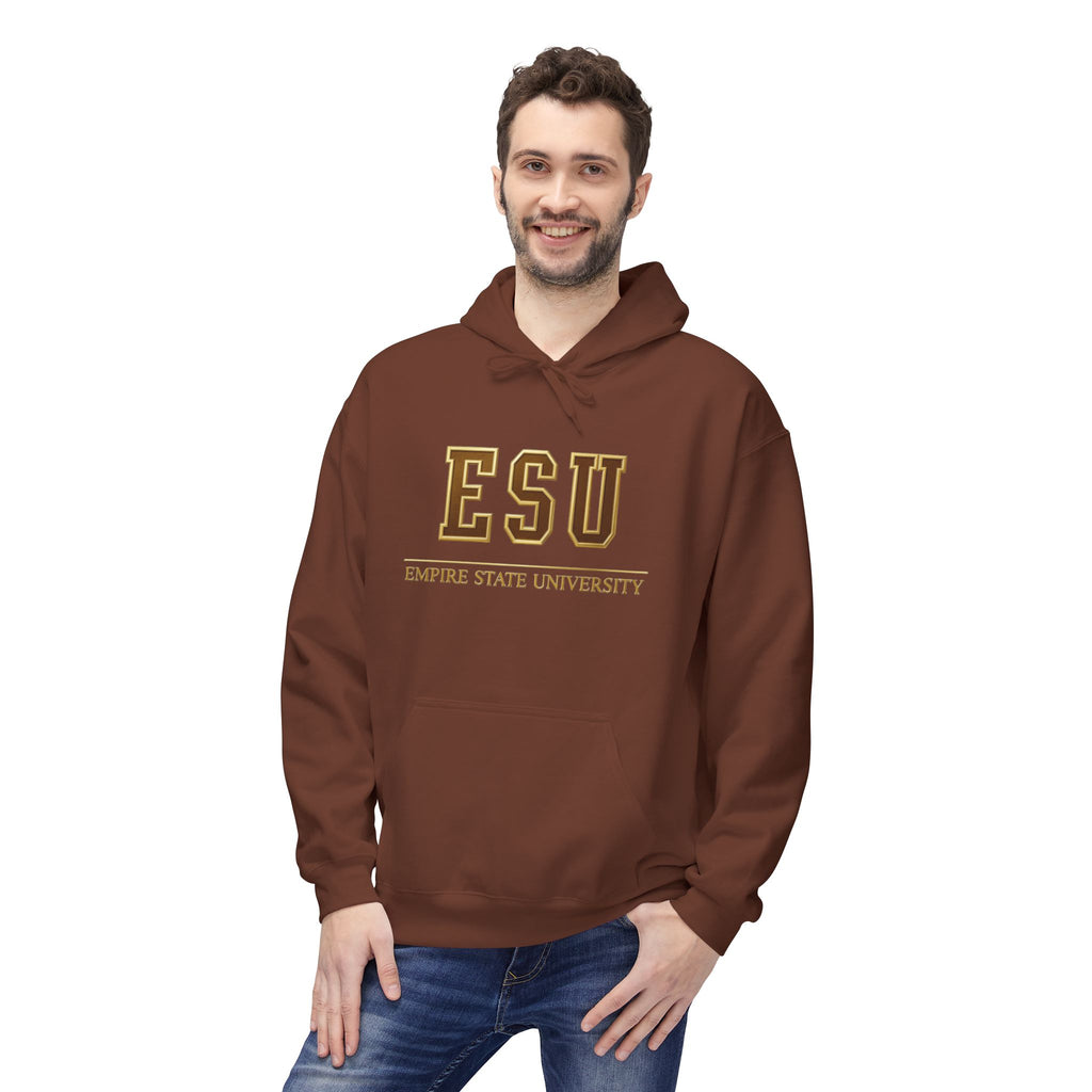 ESU Empire State University Hoodie — Collegiate Brown Pullover with Crest & Element Icons
